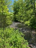 IMG_4162.jpeg
