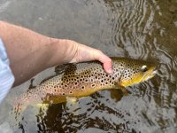 IMG_0841.jpeg