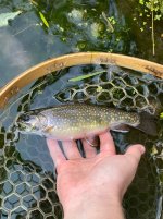 IMG_0644.jpeg