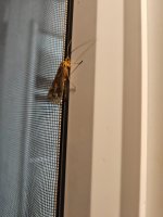 20260605_233222.jpg