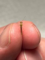 IMG_3508.jpeg