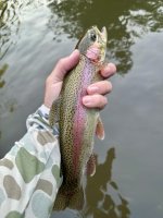IMG_3068 Medium.jpeg