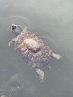 IMG_4348.jpeg