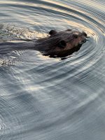 IMG_4293.jpeg