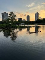 IMG_4290.jpeg