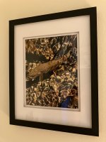 IMG_7944.JPEG
