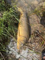IMG_0587.jpeg