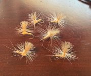 IMG_0436.jpeg