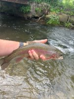 IMG_6464.jpeg