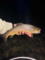 IMG_6460.jpeg