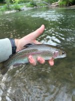 IMG_6456.jpeg