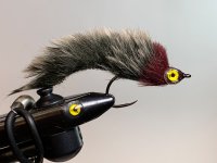 IMG_6780.jpeg