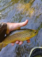 IMG_20260620_090619254.jpg