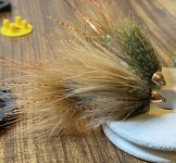 IMG_5594.jpeg