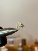 IMG_0237.jpeg