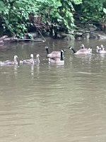IMG_6541.jpeg