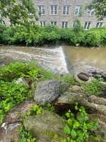 IMG_6543.jpeg