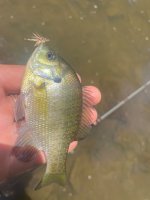 IMG_6631.jpeg