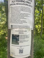 IMG_6633.jpeg