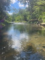 IMG_6635.jpeg