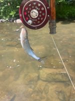IMG_6612.jpeg