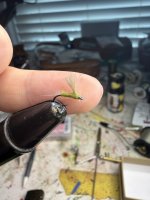 IMG_2315.jpeg