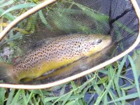 IMG_1824.jpeg