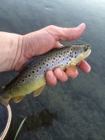 IMG_1718.jpeg