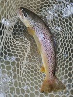 20260628_072531.jpg