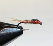 IMG_6537.jpeg