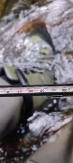 1000002668.jpg