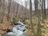 IMG_6137.jpeg