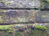 IMG_6139.jpeg