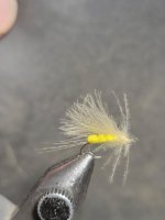 1000019047.jpg
