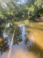 IMG_6854.jpeg