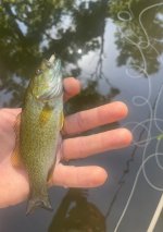 IMG_6856.jpeg