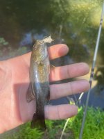 IMG_6858.jpeg