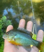 IMG_6859.jpeg