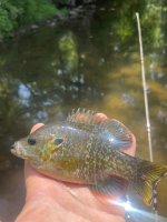 IMG_6865.jpeg