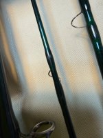 IMG_2176.jpeg
