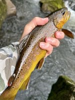 IMG_3136 Large.jpeg