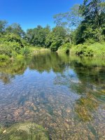 IMG_6984.jpeg