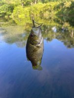 IMG_6974.jpeg