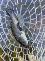IMG_6983.jpeg
