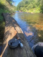IMG_6977.jpeg