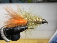 IMG_9734.jpeg