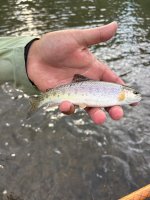 IMG_3066.jpeg