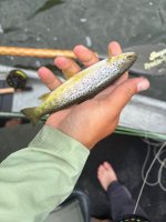 IMG_3060.jpeg