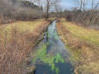 Peters Creek resize.jpg