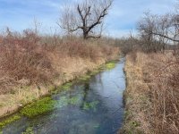 Peters Creek (3).jpg